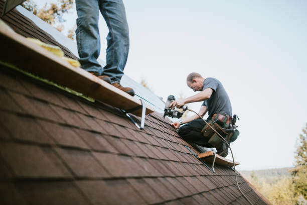 Best Emergency Roof Repair Services  in USA